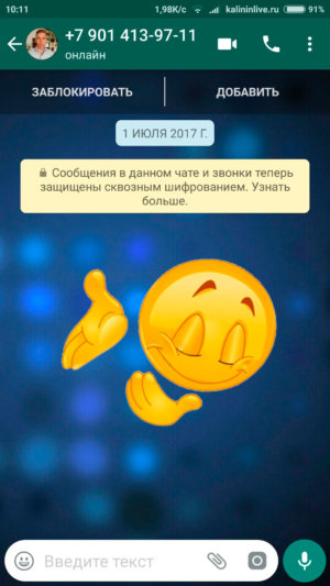 Ссылка ватсап инстаграм