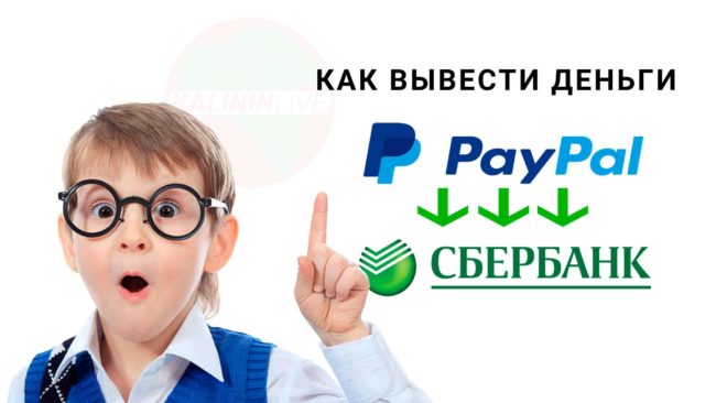 Как вывести деньги из PayPal на карту Сбербанка Как вывести деньги из PayPal на карту Сбербанка